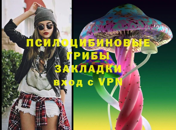 стаф Горняк